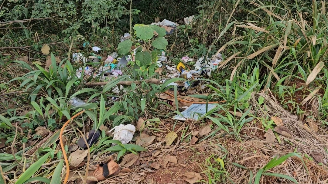“Descarte incorreto de lixo prejudica a natureza e pode ser considerado crime ambiental. Faça a sua parte e denuncie!”