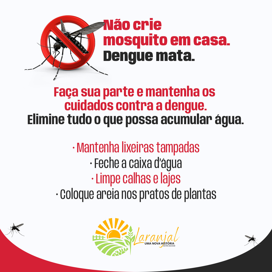 CONECTA PALMITAL - DENGUE -1080x1080