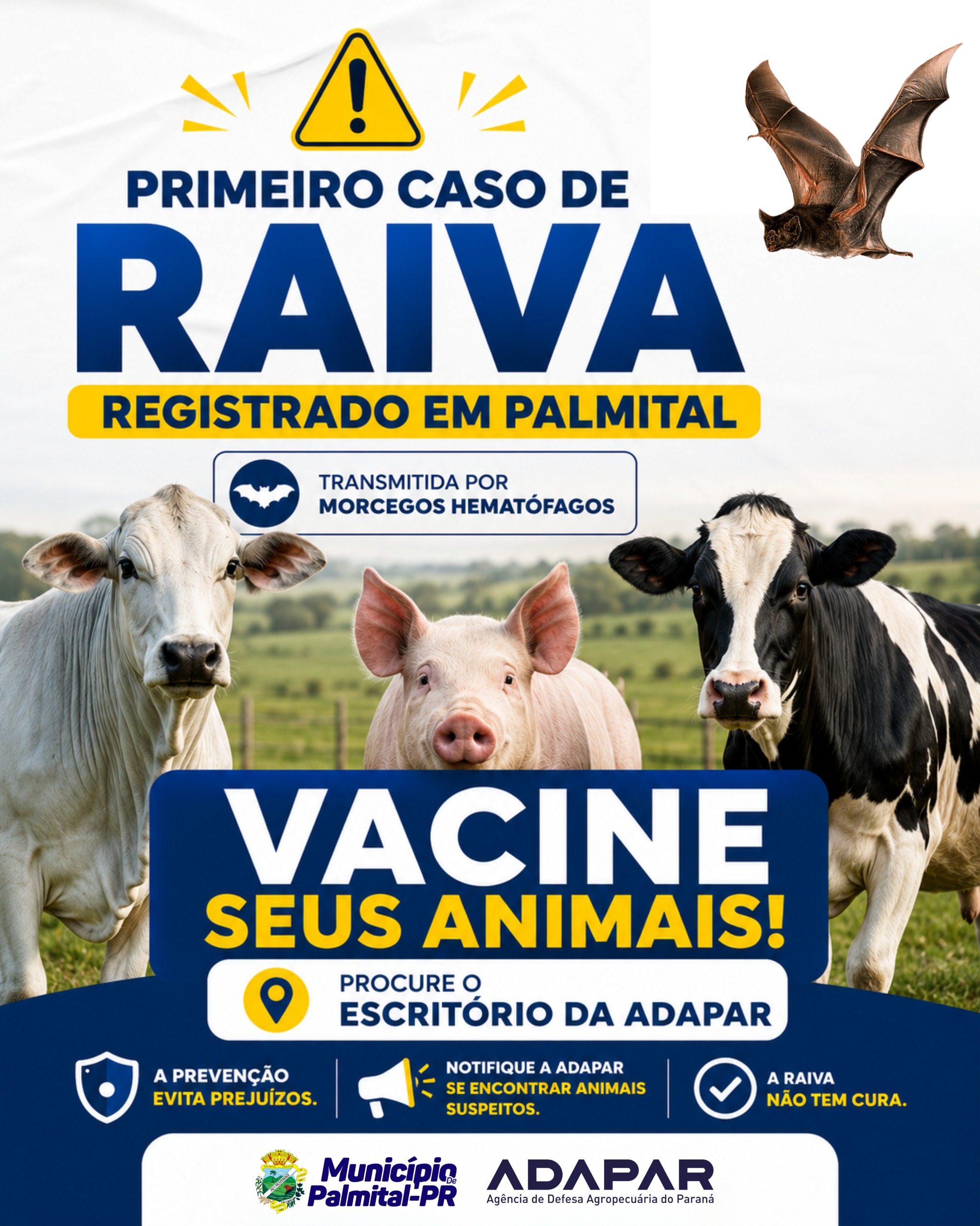 Primeiro caso de raiva é confirmado em Palmital e autoridades reforçam alerta para vacinação dos animais