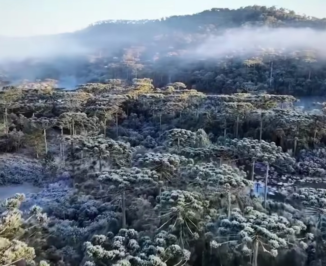 🥶❄️ ALERTA DE FRIO INTENSO NO BRASIL!