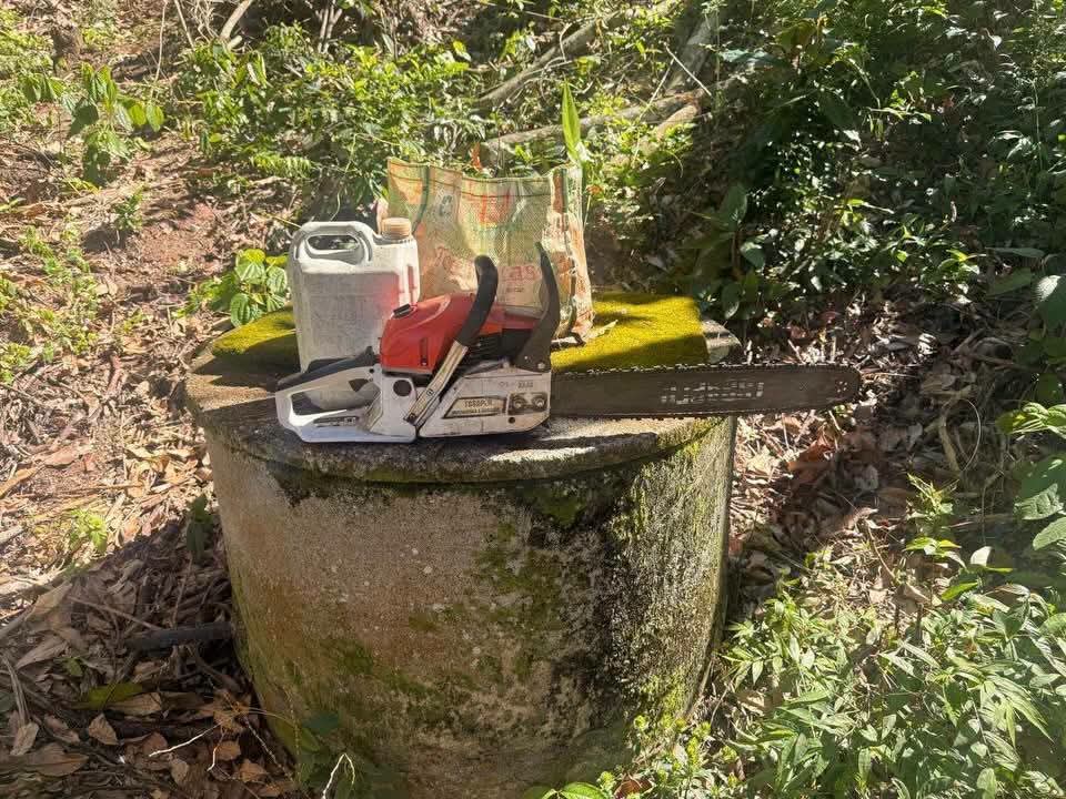🚨🌳 MOTOSSERRA APREENDIDA REFORÇA ALERTA SOBRE A NECESSIDADE DE LICENÇA PARA USO