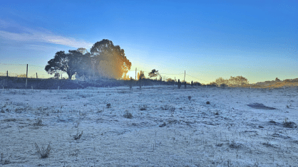🥶❄️ FERIADO DE 7 DE SETEMBRO TEM FRIO FORA DO COMUM E GEADA EM SANTA CATARINA