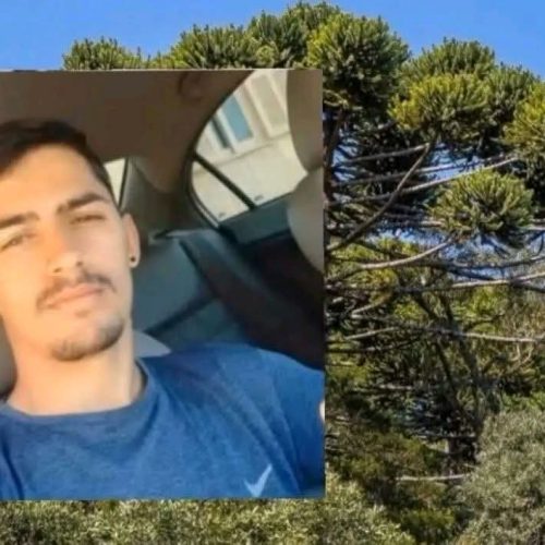 💔⚡VIDA INTERROMPIDA: COLHEITA DE PINHÃO TERMINA EM MORTE APÓS CHOQUE ELÉTRICO
