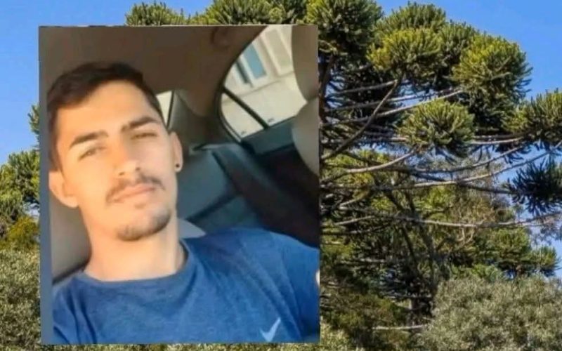 💔⚡VIDA INTERROMPIDA: COLHEITA DE PINHÃO TERMINA EM MORTE APÓS CHOQUE ELÉTRICO