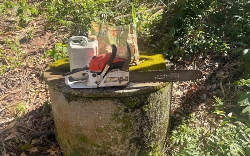 🚨🌳 MOTOSSERRA APREENDIDA REFORÇA ALERTA SOBRE A NECESSIDADE DE LICENÇA PARA USO