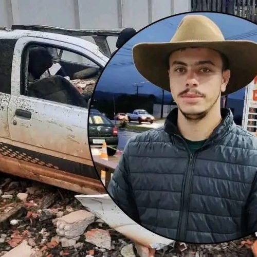 ⚠️ ANIMAIS SOLTOS NAS RODOVIAS: UM RISCO QUE PRECISA SER ENFRENTADO