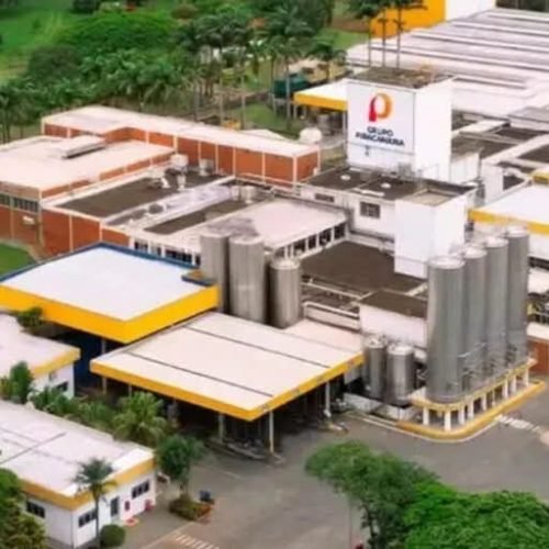 FÁBRICA GIGANTESCA NO PARANÁ COMEÇA A OPERAR E CHAMA ATENÇÃO PELA PRODUÇÃO DIÁRIA