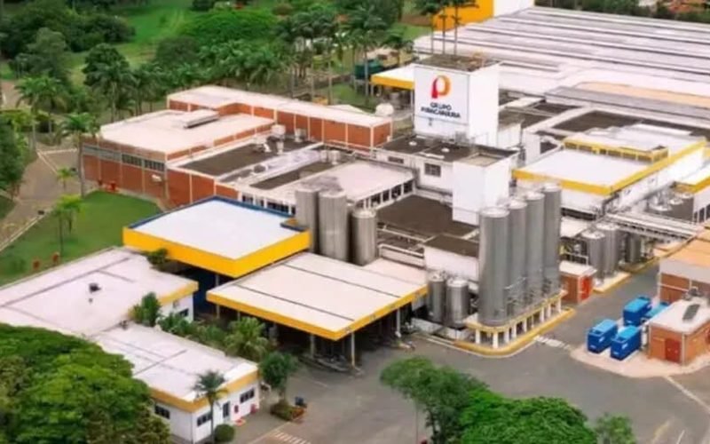 FÁBRICA GIGANTESCA NO PARANÁ COMEÇA A OPERAR E CHAMA ATENÇÃO PELA PRODUÇÃO DIÁRIA