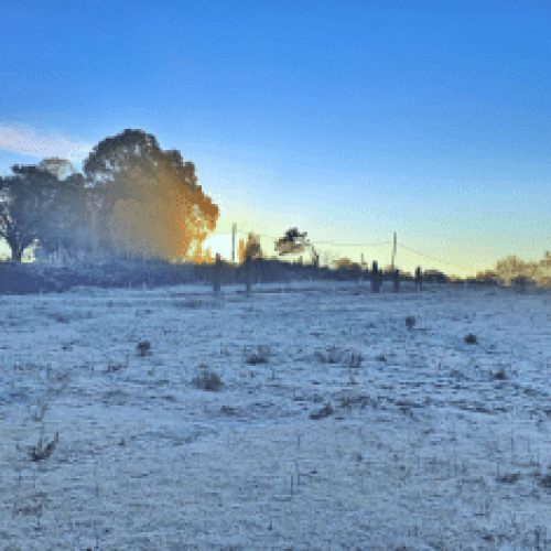 🥶❄️ FERIADO DE 7 DE SETEMBRO TEM FRIO FORA DO COMUM E GEADA EM SANTA CATARINA