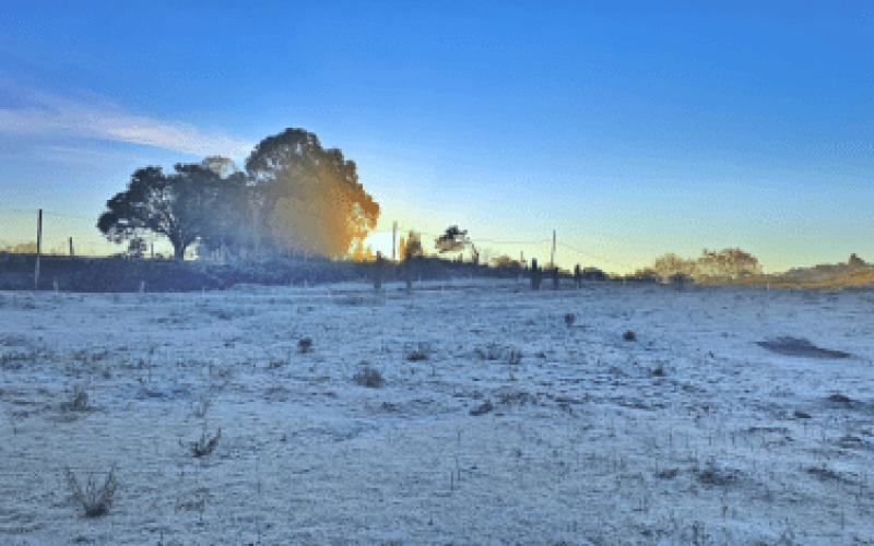 🥶❄️ FERIADO DE 7 DE SETEMBRO TEM FRIO FORA DO COMUM E GEADA EM SANTA CATARINA