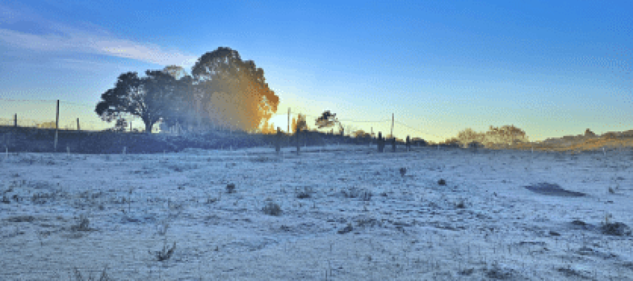 🥶❄️ FERIADO DE 7 DE SETEMBRO TEM FRIO FORA DO COMUM E GEADA EM SANTA CATARINA