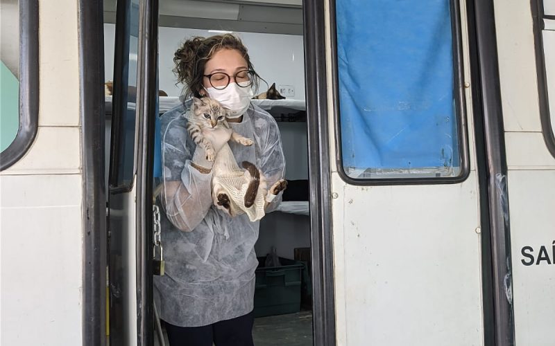 DEFESA DOS ANIMAIS: SECRETÁRIA DO MEIO AMBIENTE DESTACA AÇÃO DO PODER PÚBLICO.