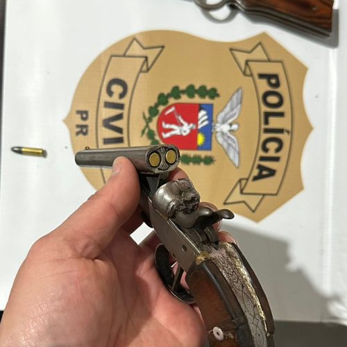 HOMEM É PRESO EM FLAGRANTE PELA POLÍCIA CIVIL DE PALMITAL DURANTE OPERAÇÃO SINERGIA