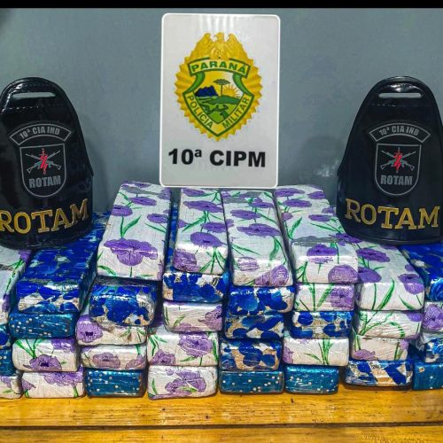 🚨 Mulher é presa com quase 24 kg de maconha em ônibus na rodoviária de Laranjeiras do Sul