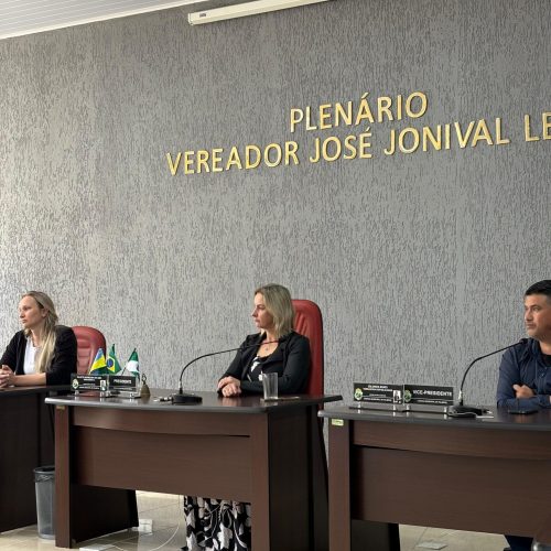 Câmara de Palmital discute quedas de energia após pedido do vereador Edson do Busão