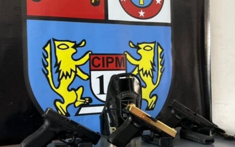 LARANJEIRAS DO SUL | ROTAM APREENDE TRÊS ARMAS DE USO RESTRITO EM ÔNIBUS NA RODOVIÁRIA