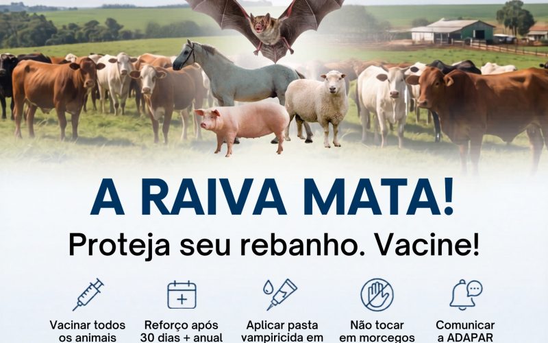 ⚠️ ATENÇÃO PRODUTORES RURAIS