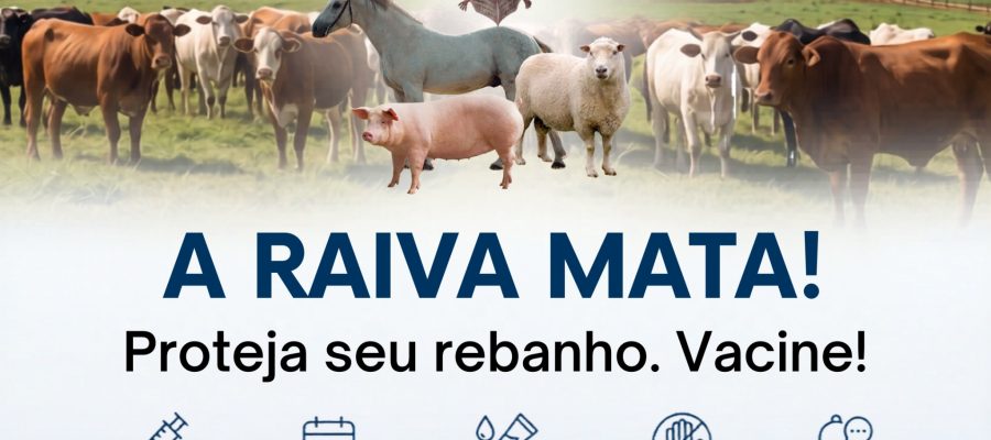 ⚠️ ATENÇÃO PRODUTORES RURAIS