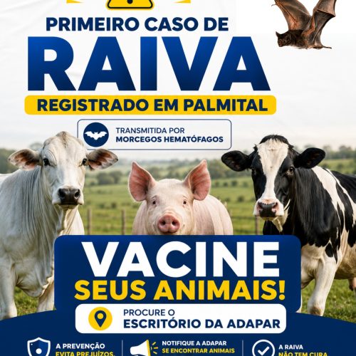 Primeiro caso de raiva é confirmado em Palmital e autoridades reforçam alerta para vacinação dos animais
