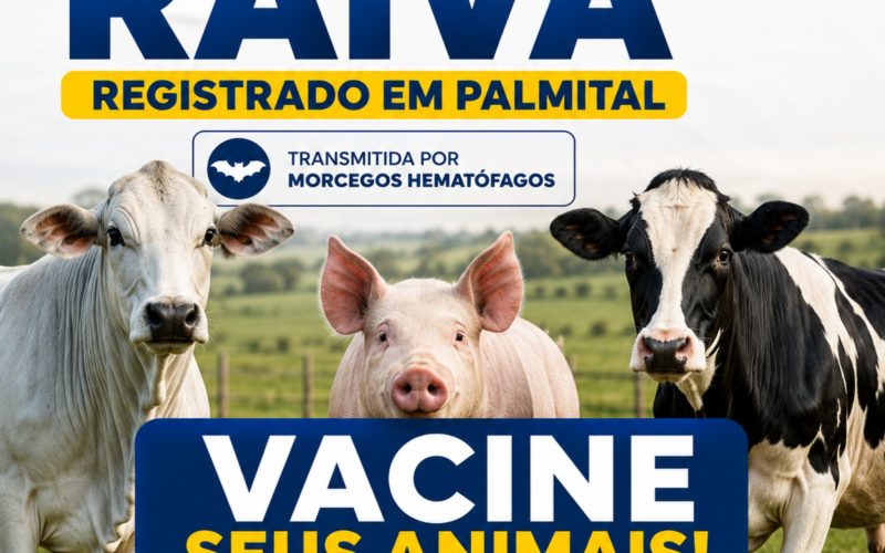 Primeiro caso de raiva é confirmado em Palmital e autoridades reforçam alerta para vacinação dos animais
