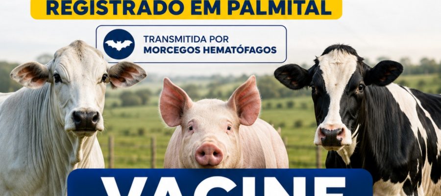 Primeiro caso de raiva é confirmado em Palmital e autoridades reforçam alerta para vacinação dos animais
