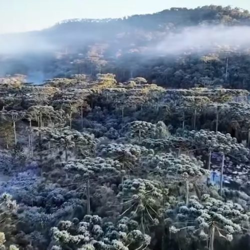 🥶❄️ ALERTA DE FRIO INTENSO NO BRASIL!