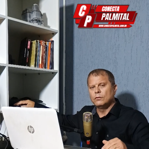Silvania Schmitz será líder da oposição? E qual será o futuro político do vereador Robson?