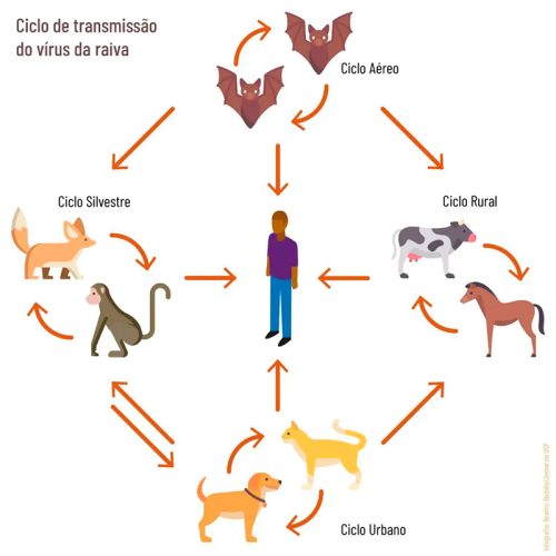 🚨 ALERTA DE RAIVA ANIMAL EM PALMITAL
