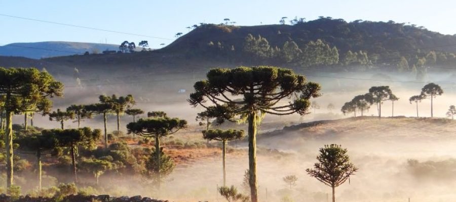 🌪️ NOVO CICLONE EXTRATROPICAL DE FORTE INTENSIDADE DEVE ATINGIR O SUL DO BRASIL